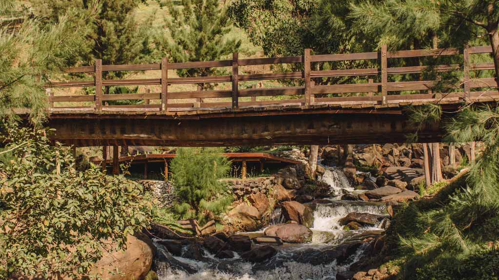 Holz als nachhaltiger Baustoff: diese Brücke führt über einen gemütlichen Wasserfalls in Mitten eines Fichtenwaldes
