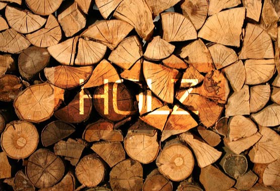 Nachhaltige Baustoffe: Holz